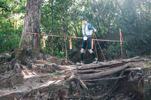 BIB: 
                            <button type="button" onclick="openModal(27748379)" class="btn btn-primary btn-sm float-right btn-popup" data-toggle="modal" data-target=".modal-high-quality">
                        <i class="fas fa-shopping-cart"></i> Add to Cart
                    </button>
                                            <button type="button" onclick="isThisMe(27748379, true)" class="btn btn-success btn-sm float-right btn-popup btn-isme hidden" data-toggle="tooltip" data-placement="bottom" title="นี่คือรูปของคุณใช่ไหม คลิกที่นี่เพื่อเอาเข้าอัลบั้ม">
                        <i class="fas fa-plus"></i> Add to album
                    </button>
                    <button type="button" onclick="isThisMe(27748379, false)" class="btn btn-warning btn-sm float-right btn-popup btn-isnotme hidden">
                        <i class="fas fa-ban"></i> Remove from album
                    </button>